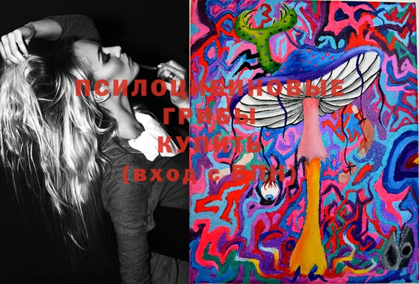 ECSTASY Снежинск